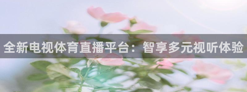 so米体育在线直播nba：全新电视体育直播平台：智享多元视听体验