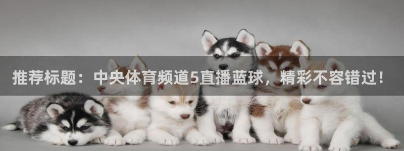 so米直播体育平台：推荐标题：中央体育频道5直播蓝球，精彩不容错过！
