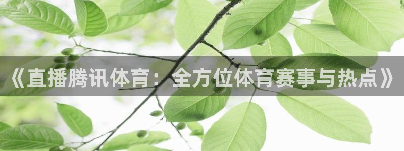 so米体育直播在线观看直播：《直播腾讯体育：全方位体育赛事与热点》